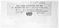 Image Associated With the Occurence